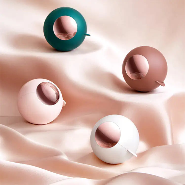 Compacte, draagbare huisdierhaarverwijderaar voor op reis – eenvoudige oplossing voor het reinigen van pluisjes en vacht